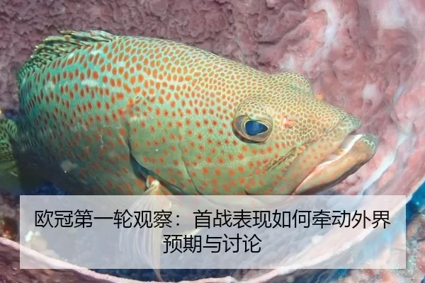 欧冠第一轮观察:首战表现如何牵动外界预期与讨论
